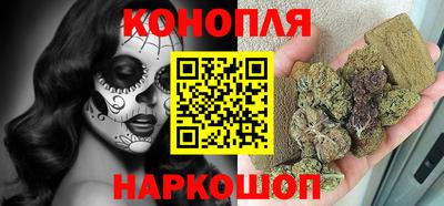 шишки Шебекино