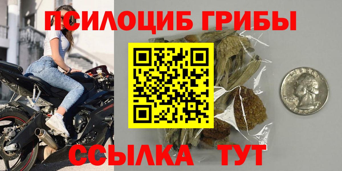 Галлюциногенные грибы Cubensis  где продают   Гулькевичи  Вход с VPN 