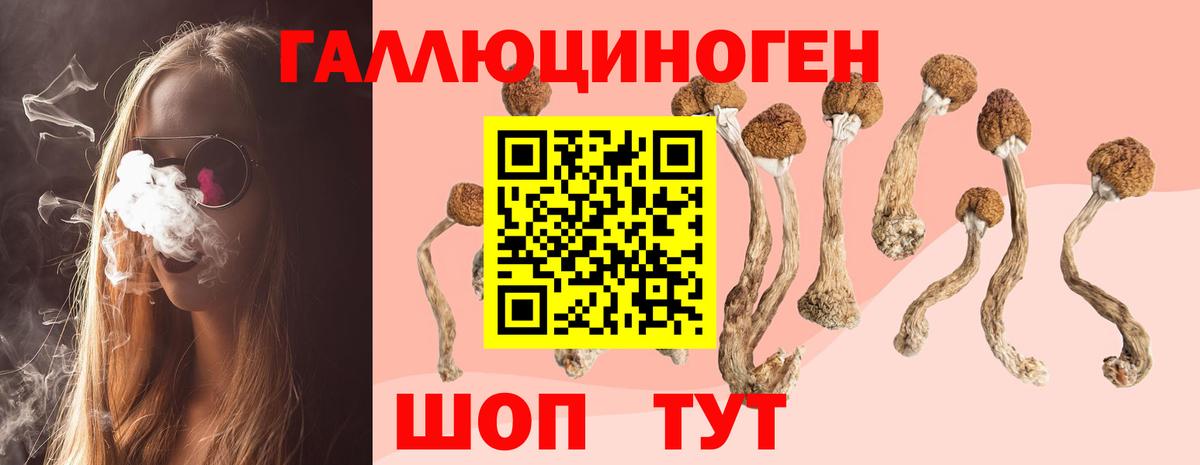 Псилоцибиновые грибы прущие грибы Гулькевичи